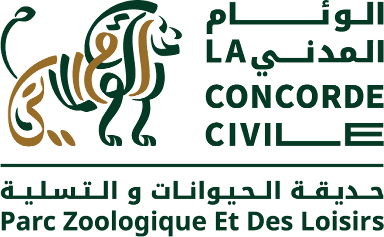 -29-_Plan de travail 1